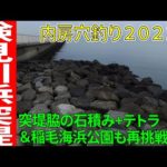 【2022/8/20（土）内房穴釣り】＜検見川浜＞バイク移動で車が停めにくい湾奥を攻める