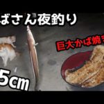 【飯テロ】そのサイズ65㎝！ついに主釣り達成？巨大アナゴを巨大かば焼き丼にしてみた！！【8月石巻】