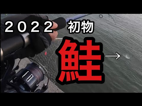 ［鮭釣り］ウキルアーをただ巻くだけで鮭‼︎今年も釣れてくれてありがとう〜