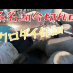 好調浜名湖８月下旬のクロダイ釣り