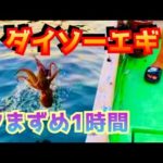 【タコ釣り】夕まずめタコ！
