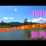 【鮎釣り】神奈川県中津川釣行#24