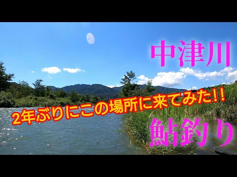 【鮎釣り】神奈川県中津川釣行#24