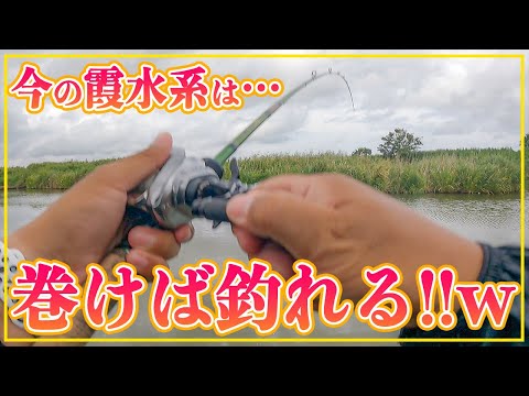 なんだ…霞水系は巻けば釣れるのか…最高だな！w【誕生日釣行】