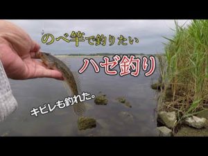 のべ竿でハゼが釣りたい 涸沼のハゼ釣り 【小物釣り】