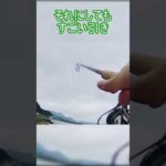 磯で釣りしたら大物に遭遇