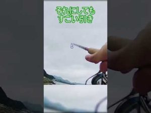 磯で釣りしたら大物に遭遇