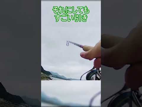 磯で釣りしたら大物に遭遇