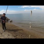 釣れる人と、釣れない人　キス釣り