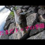 【バス釣り】夏終わりバイト多発❗️ 琵琶湖　南湖