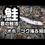 the鮭 T君の鮭活【アキアジ釣り】