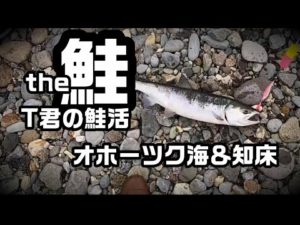 the鮭 T君の鮭活【アキアジ釣り】