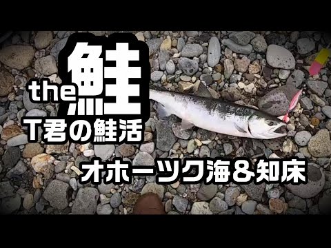 the鮭 T君の鮭活【アキアジ釣り】
