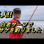 【北海道】白老サーフでアキアジGET　投げ釣りぶっ込み　サケ釣り
