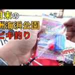 ８月末の若洲海浜公園でサビキ釣り！ダイソーサビキセットの実力は如何に！？ でも釣れる魚はやっぱりアレとアレ