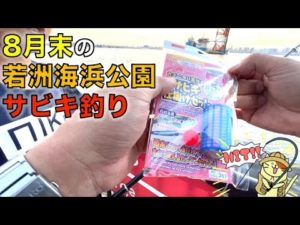 ８月末の若洲海浜公園でサビキ釣り！ダイソーサビキセットの実力は如何に！？ でも釣れる魚はやっぱりアレとアレ