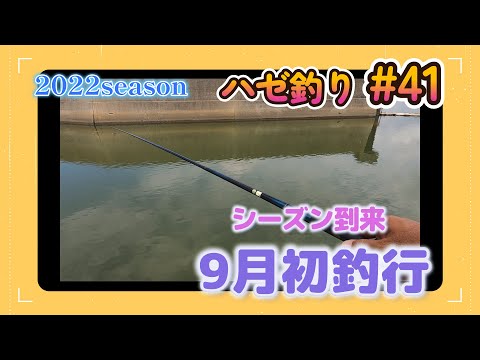 2022年【ハゼ釣り#41】9月2日‗9月初釣行!前回の復習をしてみた‗釣果情報