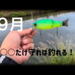 9月のバス釣りに強い味方！！