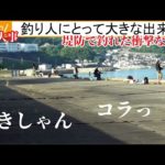 釣り人にとって大きな出来事！台風に備えた堤防で釣れた衝撃の真鯛でおこる悲惨な・・・