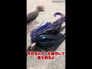 自作ルアーのすすめ その２ スイムジグ ラバージグ  秋バス釣り #ショート