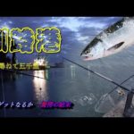 釧路港で鮭釣り　大どんでん返しの結末