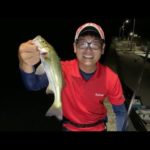 【釣り生配信】2時間釣行で何が釣れるかな？