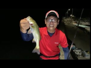 【釣り生配信】2時間釣行で何が釣れるかな?