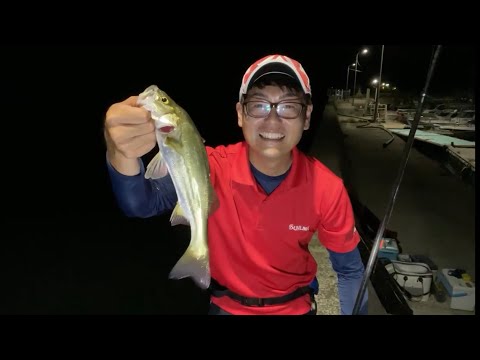 【釣り生配信】2時間釣行で何が釣れるかな？