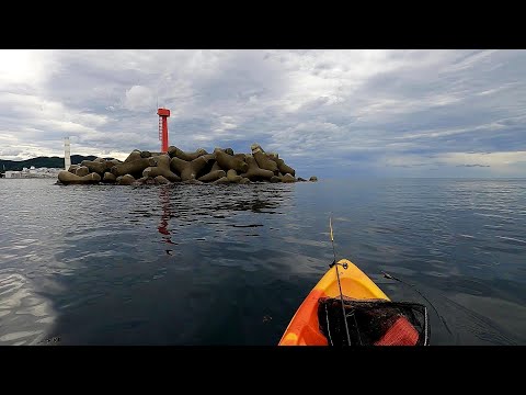 激安カヤックで秋アオリ釣り
