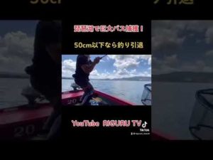 TikTokで200万再生！バス釣りで奇跡が起きました！#急上昇 #バス釣り#shorts