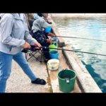 釣り初心者の妻の成長