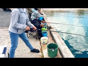 釣り初心者の妻の成長