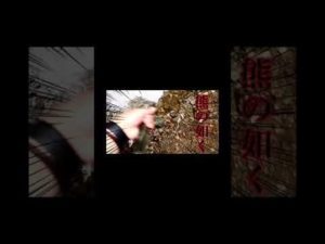 釣り堀でヒヤマさんの釣り方が特殊すぎる笑