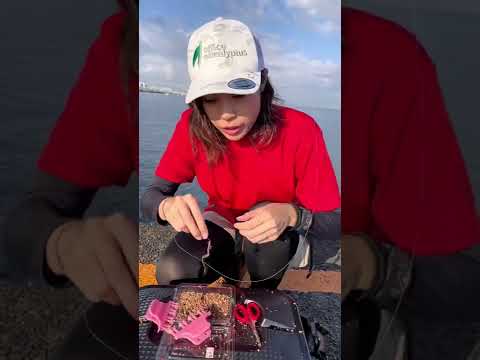 【イソメを簡単に掴める‼️】掴めるっスで釣りなじサラちゃんがイソメを楽々❣️掴んだ瞬間‼️【#shorts】