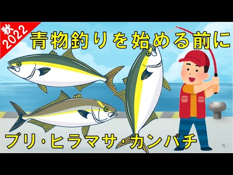 【青物釣りを始める前に】ブリ・ヒラマサ・カンパチ人気3魚種の違い