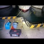 【LIVE】ガチり始めた夜のアジ釣り（本命はカニ）