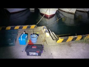 【LIVE】ガチり始めた夜のアジ釣り（本命はカニ）