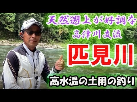 #55【土用の釣り攻略！ 】高津川支流　思い出の匹見川釣行　　島　啓悟★鮎　入れ追い