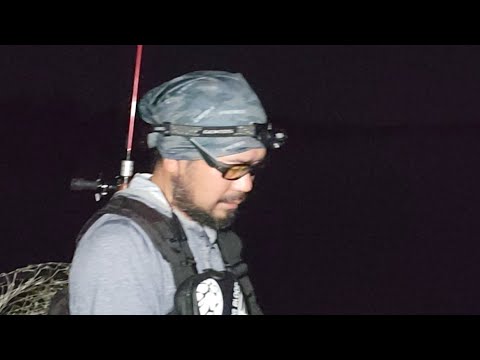 シーバス釣りライブ配信