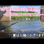 【小物釣り】激流の中にいるカワムツ・オイカワを狙え！日陰から竿を出しました
