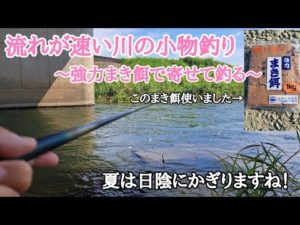 【小物釣り】激流の中にいるカワムツ・オイカワを狙え！日陰から竿を出しました