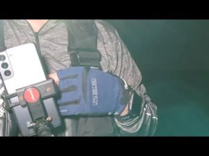 【釣り楽#139】シーバス釣りライブ