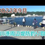 2022年秋の女川港周辺堤防釣り マイワシとカンパチの釣果！