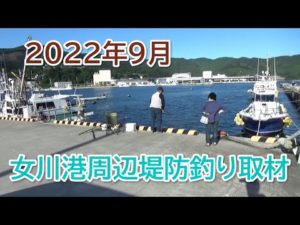2022年秋の女川港周辺堤防釣り マイワシとカンパチの釣果！