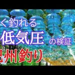 だんご釣り 紀州釣り 高確率で釣れる条件!　お天気下り坂を検証　 #紀州釣り　#ダンゴ釣り　#チヌ釣り　#ウキダンゴ釣り　#クロダイ　#黒鯛　#和歌山　#大阪湾 ＃コスパ最高