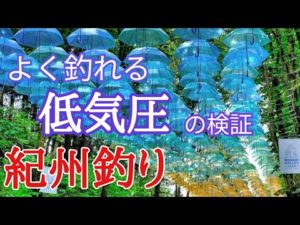 だんご釣り 紀州釣り 高確率で釣れる条件!　お天気下り坂を検証　 #紀州釣り　#ダンゴ釣り　#チヌ釣り　#ウキダンゴ釣り　#クロダイ　#黒鯛　#和歌山　#大阪湾 ＃コスパ最高