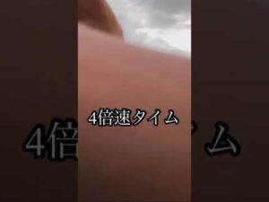 ［初投稿］バス釣りをしていたら…