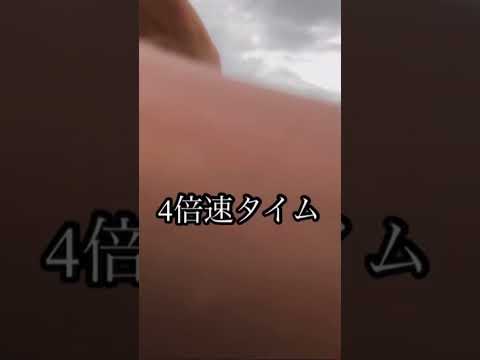 ［初投稿］バス釣りをしていたら…