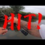 【茨城バス釣りポイント】境町を流れる利根川でバス釣り！激アツポイント紹介シリーズ！【バス釣り】