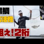 【紀州釣り】黒鯛高活性の釣り場へ！２桁超えなるか？【黒鯛釣り】【釣武者】
